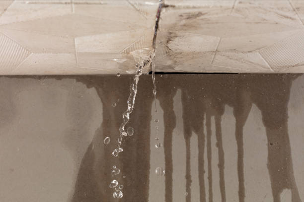 Professional Burst Pipe Cleanup technician working in Model, CO